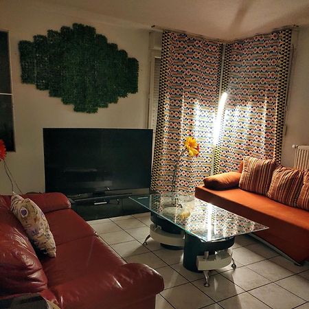 Appartement T3 Proche De Bale Saint-Louis  Εξωτερικό φωτογραφία